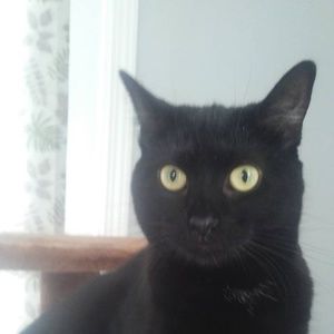 Meet your Posher, Karen